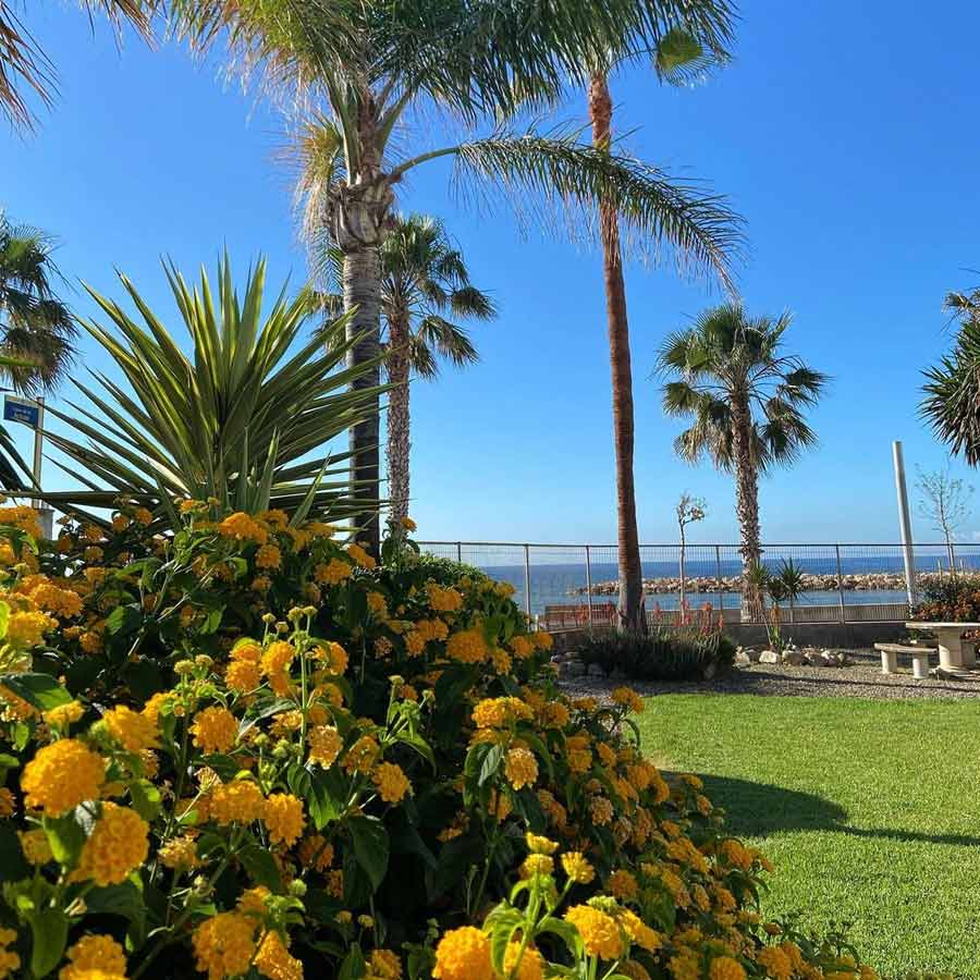 Mediterranea de Manteniment jardín con flores